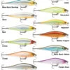 Rapala Shadow Rap Shad -Fishing Gear Store shadow rap shad family 1